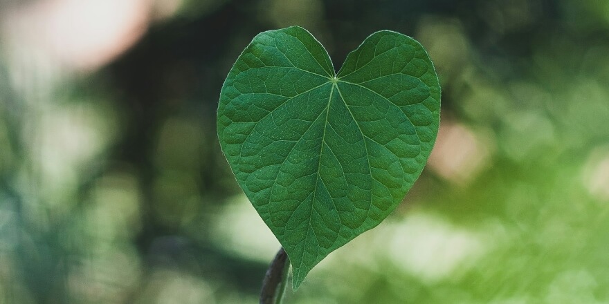 Emmanuel Olatunji OFtn0 YvxyU Unsplash 880x440